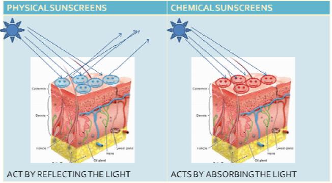 Figure-1-Diagram-showing-how-physical-and-chemical-sunscreens-act